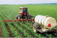 Trigo: reducen aranceles para la importación de algunos insumos