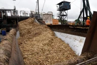 Azúcar: “Los precios internacionales son muy interesantes, pero no sabemos hasta cuándo se mantendrán así