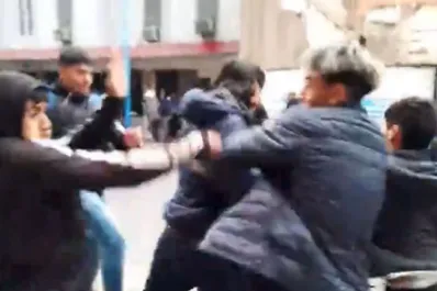 Peleas entre estudiantes: “El decreto puede traer sanciones al Estado argentino”