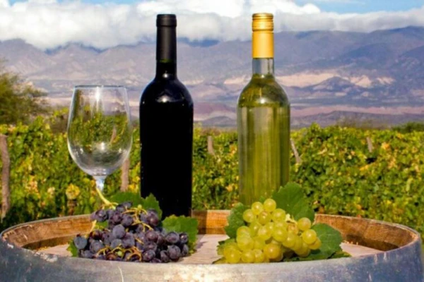 Los vinos tucumanos ganan una mayor exposición en la vidriera internacional