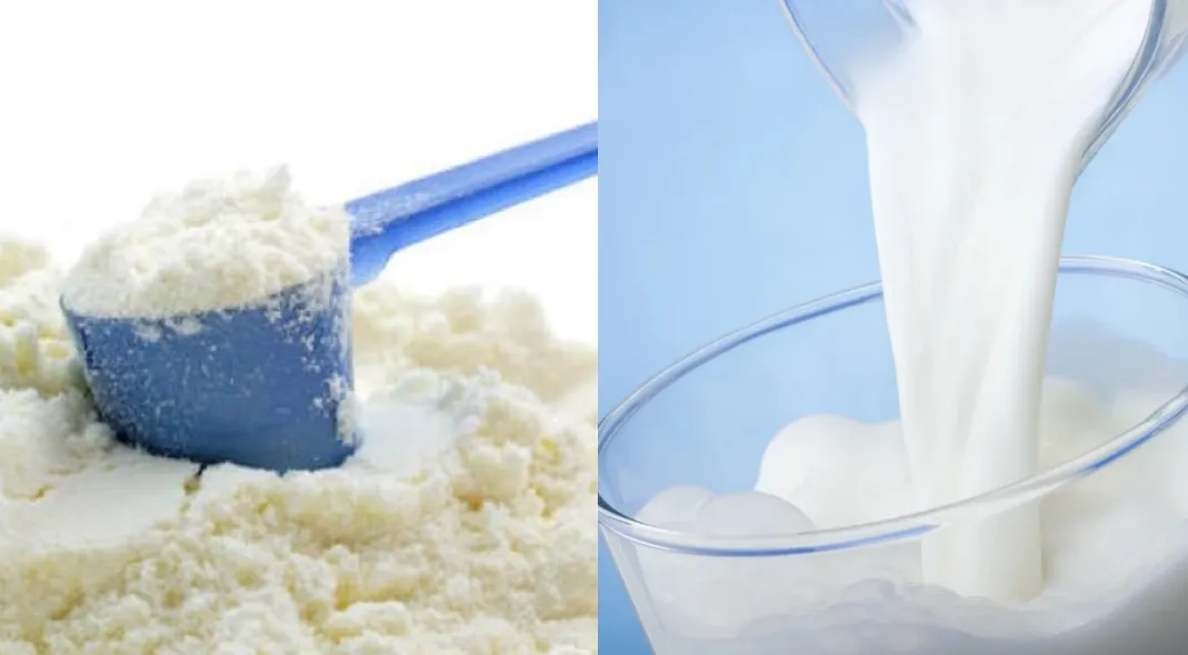 Leche en polvo o leche fresca: ¿cuál nos otorga más beneficios, según los especialistas?