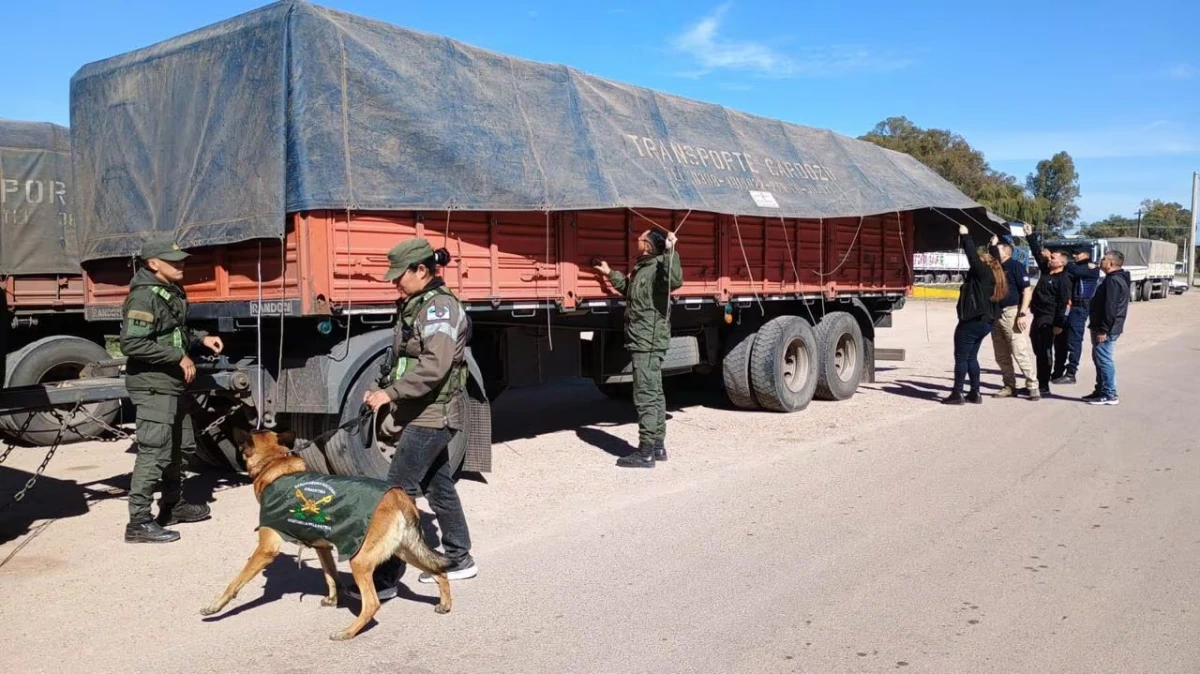 En un camión de carga viajaban ocultos siete jóvenes ecuatorianos y un brasileño. Fueron detenidos en un control policial (Prensa Gendarmería)