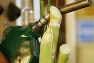 Se dispuso un nuevo aumento en el precio del bioetanol de caña de azúcar