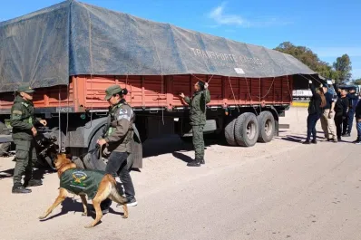 Córdoba: expulsarán del país a los siete jóvenes ecuatorianos y al brasileño que viajaban en la caja de un camión