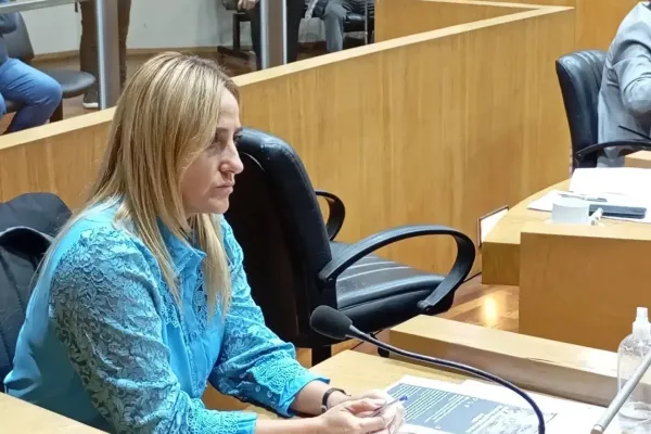 Camioneta extraviada: “Vayan a trabajar y dejen de perseguir opositores”, afirmó la edil del PJS