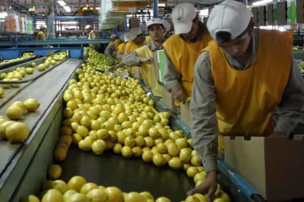 Daniel Abad: “El Instituto de Fomento del Limón es una herramienta para ayudar al sector citrícola”