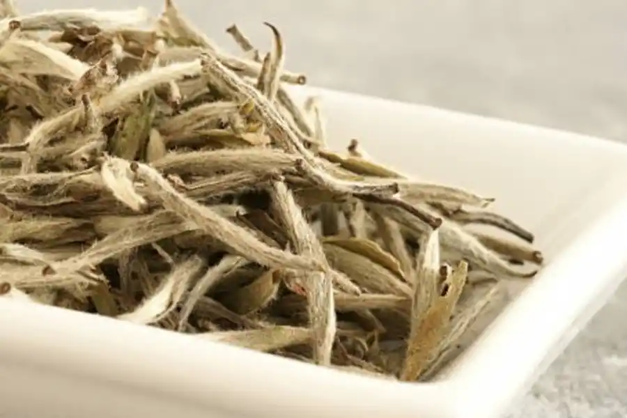 Hojas del té blanco para hacer la infusión.