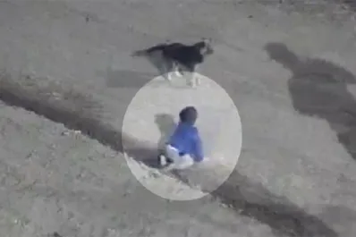 Los papás del bebé que estaba gateando solo en la calle intentaron justificarse: “Es muy travieso”