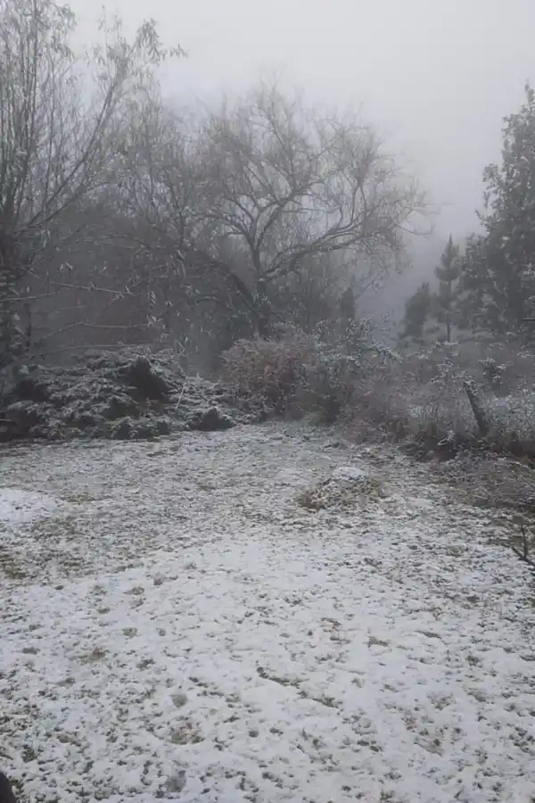 VIRTUALIDAD. Las belleza de las imágenes se viralizaron en redes.