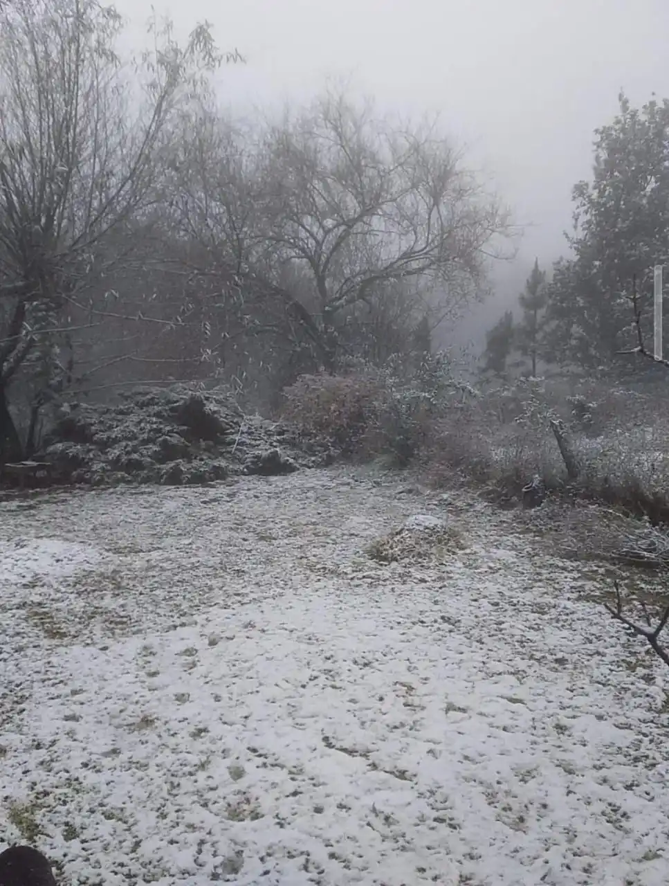 VIRTUALIDAD. Las belleza de las imágenes se viralizaron en redes.