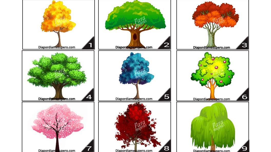 Test de personalidad: elegí un árbol y descubrí qué cambios necesitas en tu vida