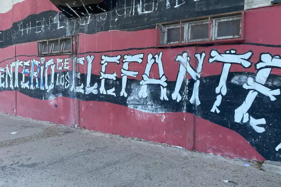 CEMENTERIO DE ELEFANTES. El apodo del estadio de Colón quedó luego de un duelo frente al Santos de Pelé.