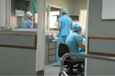 Elías de Pérez y Seleme proponen cobrar la atención de salud a extranjeros no residentes