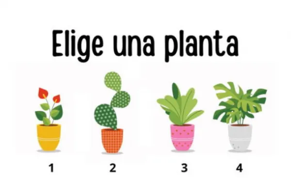 Test de personalidad: la planta que elijas revelará cuál es tu edad mental