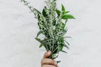 El poderoso ritual para alejar a las personas tóxicas de tu vida