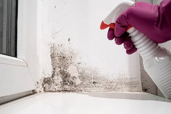 600x400_se-recomienda-controlar-manchas-humedad-para-evitar-problemas-respiratorios-1035346-130335.webp