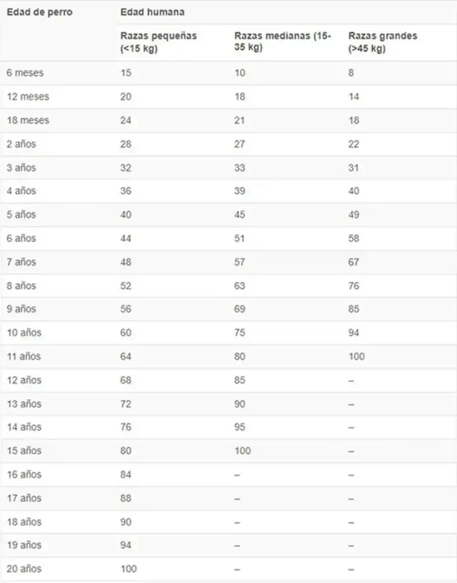 Tabla para calcular la edad de una perro