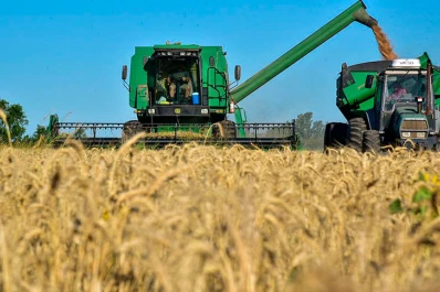 Campaña de trigo: la intención de siembra en la zona núcleo crecería al menos un 5%