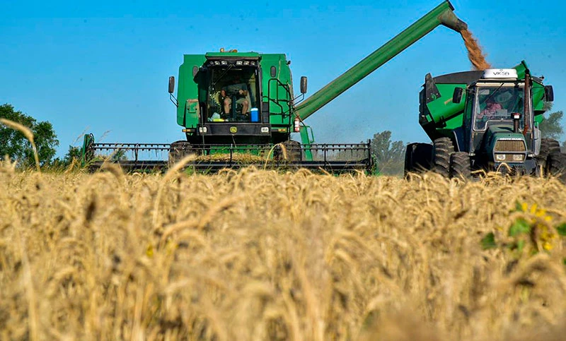 Campaña de trigo: la intención de siembra en la zona núcleo crecería al menos un 5%
