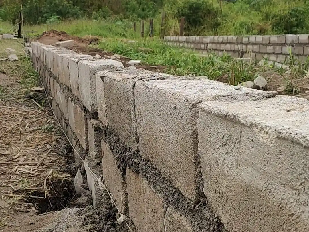 Luchan para salir del infierno de la droga apoyados en la fe y la esperanza