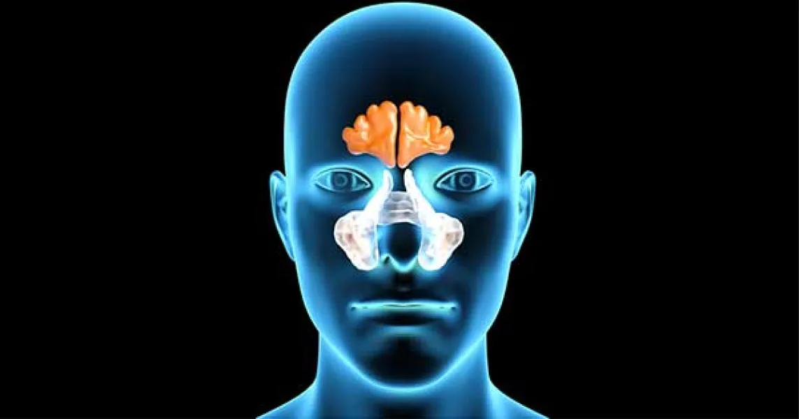 El sonarse muy fuerte puede dañar los senos paranasales 