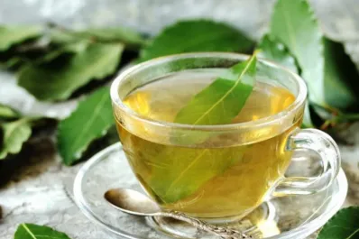 Cómo preparar té de laurel para calmar la tos y eliminar flemas rápidamente