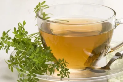 Día internacional del té: conocé la poderosa infusión que alivia la fiebre y dolores musculares