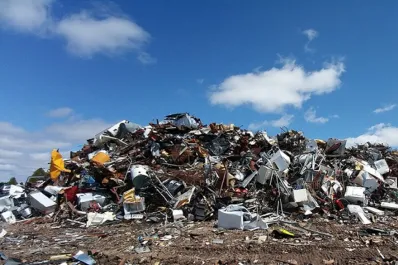 La ONU exige una ley contra crímenes ambientales