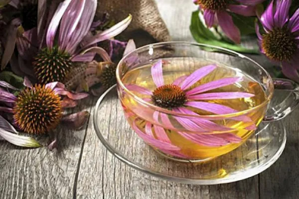 Día Internacional del Té: la infusión medicinal que combate los resfríos y refuerza el sistema inmunológico