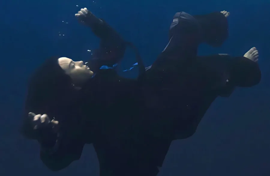 Billie en la portada de su nuevo álbum. Fuente: Billie Eilish