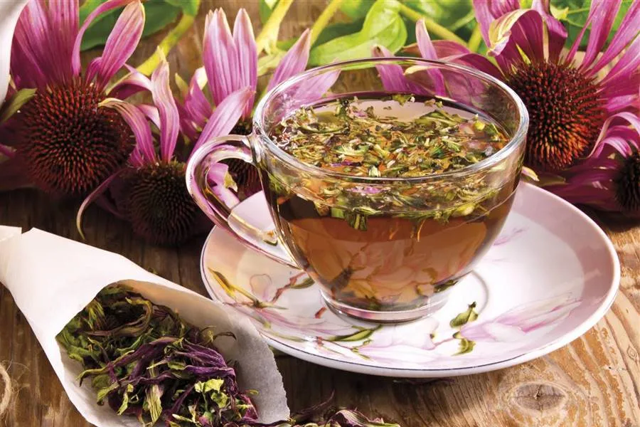 Maneras de honrar el Día del Té: probar la infusión de equinácea