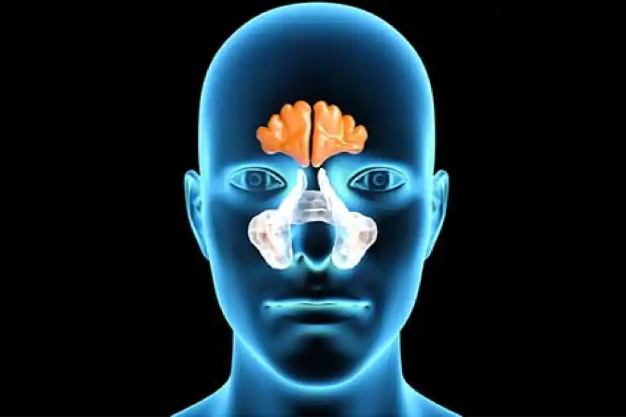 El sonarse muy fuerte puede dañar los senos paranasales 