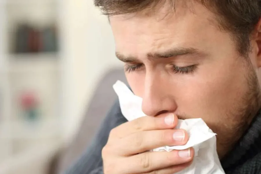 El té de laurel es recomendada ante síntomas de gripe o bronquitis.