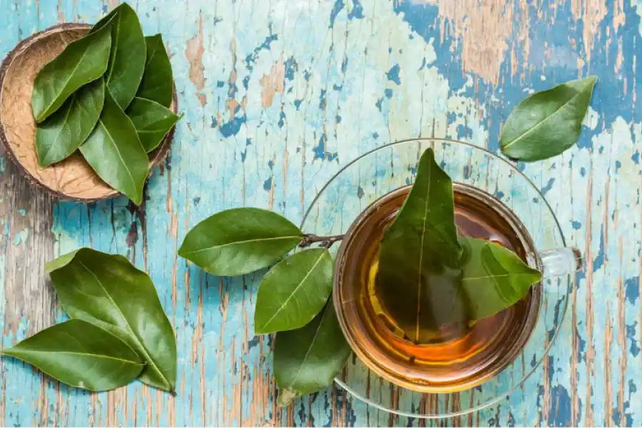 El té de laurel tiene propiedades mucolíticas y expectorantes.