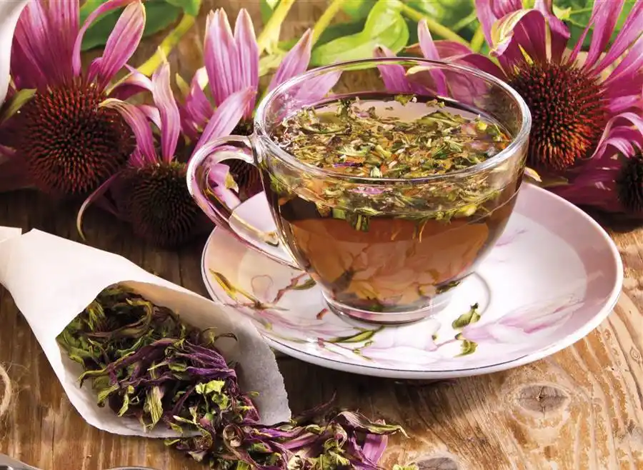 Maneras de honrar el Día del Té: probar la infusión de equinácea