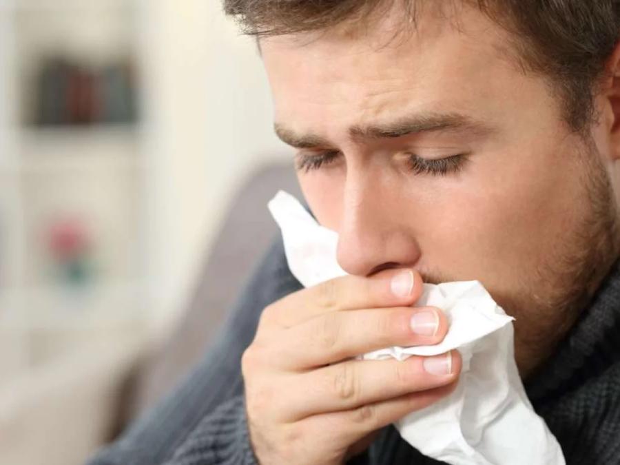El té de laurel es recomendada ante síntomas de gripe o bronquitis.