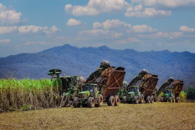 El ingenio Ledesma se alista para la zafra 2024: proyección de producción e inversiones