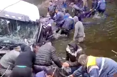 Un camión que transportaba vacas cayó al río Luján y los vecinos las faenaron