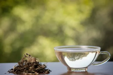 La poderosa infusión con 12 veces más propiedades que el té verde que deberías tomar a diario
