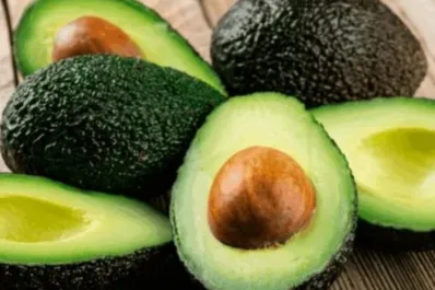 Conocé los poderosos beneficios para la salud que tiene el carozo de palta: ¿cómo consumirlo?