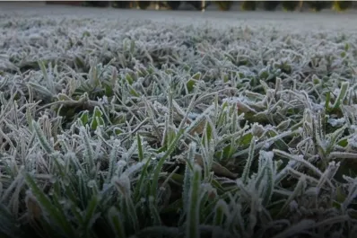Comenzó el período con heladas que incide directamente en el campo de Tucumán