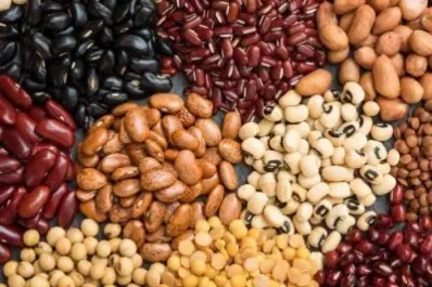 Con qué mezclar legumbres en invierno para asegurar una buena dosis de proteínas