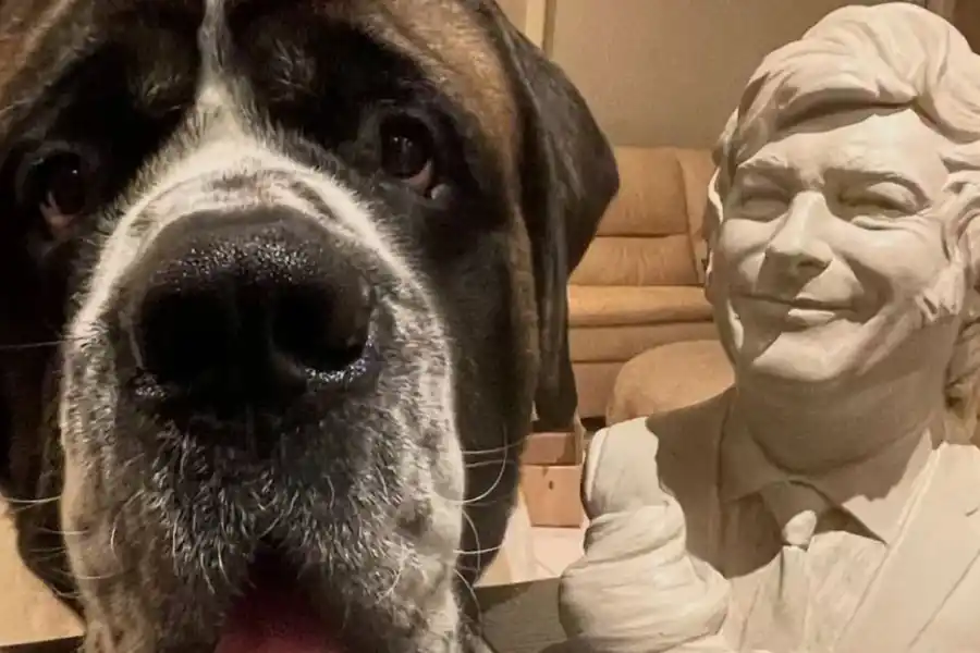 Milei es seguidor de un perro que vive en Australia y se parece a Conan: el regalo que les envió a sus dueños