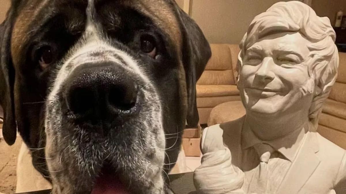 Milei es seguidor de un perro que vive en Australia y se parece a Conan: el regalo que les envió a sus dueños