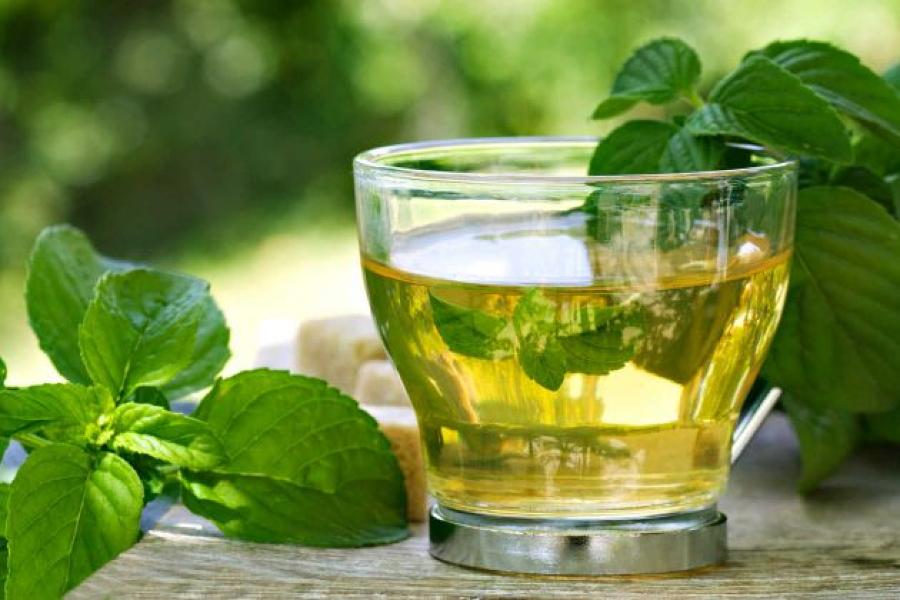El té de boldo es una de las infusiones más recomendadas para aliviar los síntomas.
