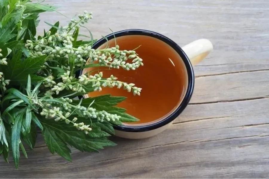El té que ayuda a la digestión y aliviana los dolores menstruales 