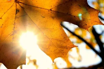 Por qué deberías tomar sol también en invierno: seis beneficios clave