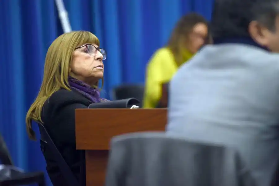 IMPUTADA. Olga Cudmani.