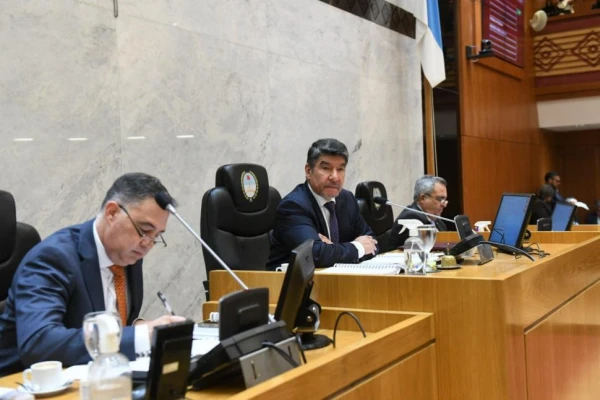Acevedo afirmó que no insistirán con la vetada ley de auxiliares fiscales