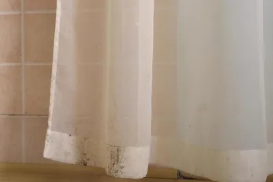 Con solo dos ingredientes: cómo preparar una mezcla casera para eliminar el moho de las cortinas de baño